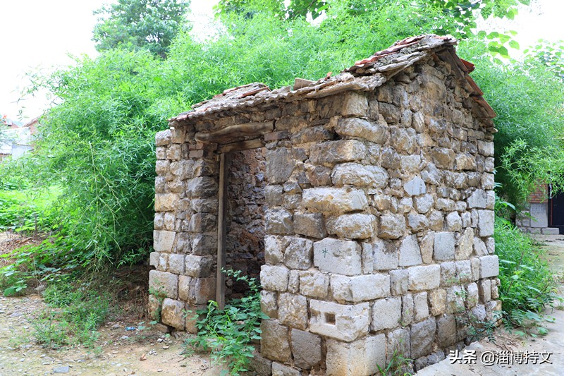 瑙︽懜涔℃剚鍙よ瘲鍥剧墖,瑙︽懜涔℃剚