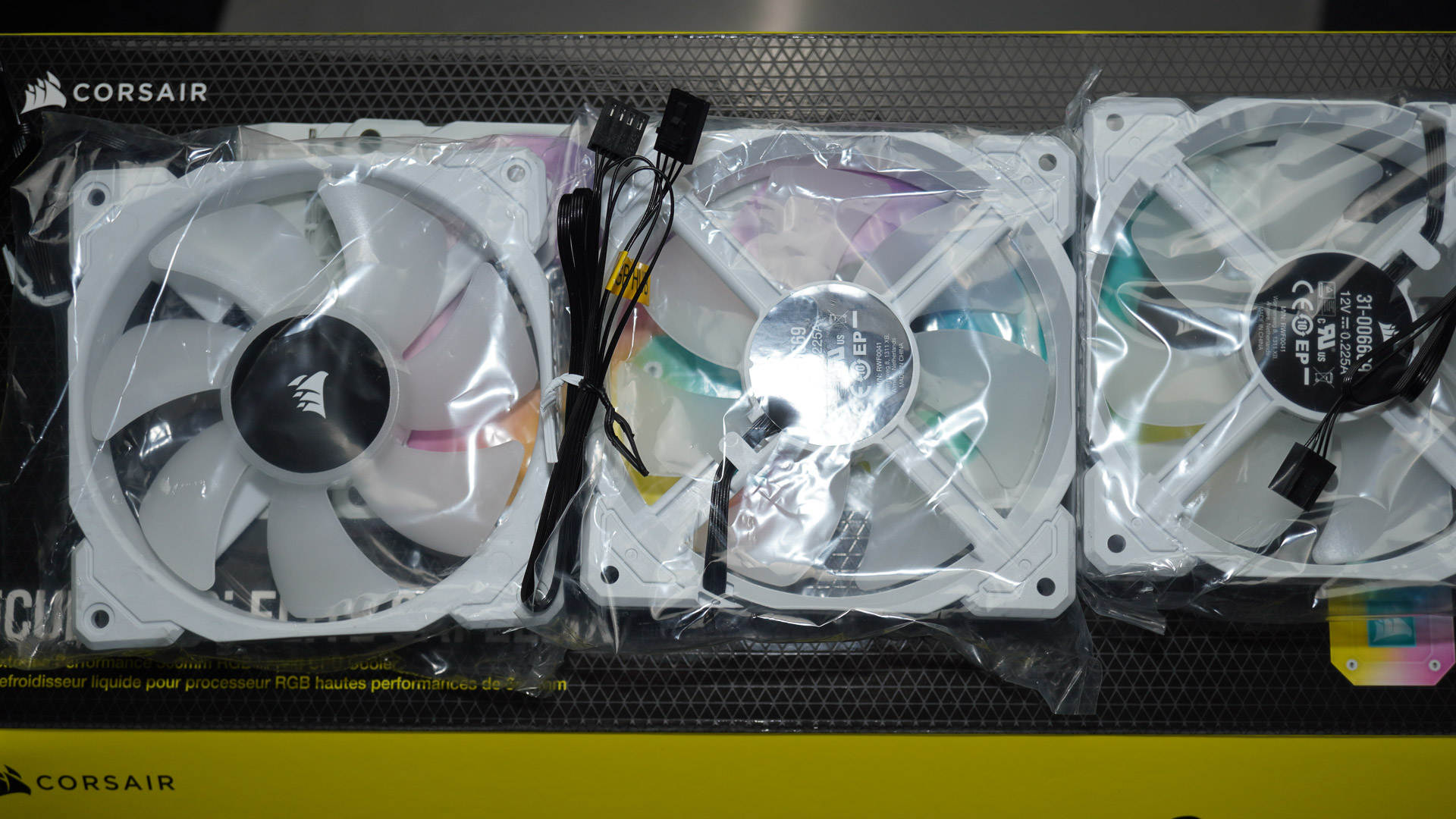 超别墅！给工作室电脑搬进海盗船+骨伽的新家