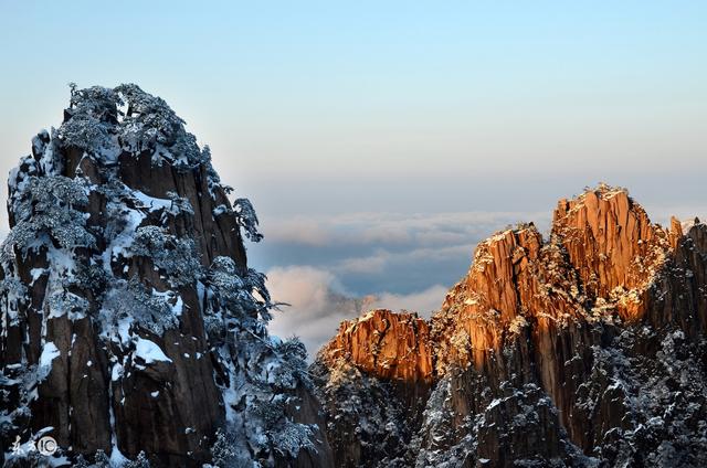 小说：他如今是上真境巅峰的修为，斩杀五阶魔兽不在话下