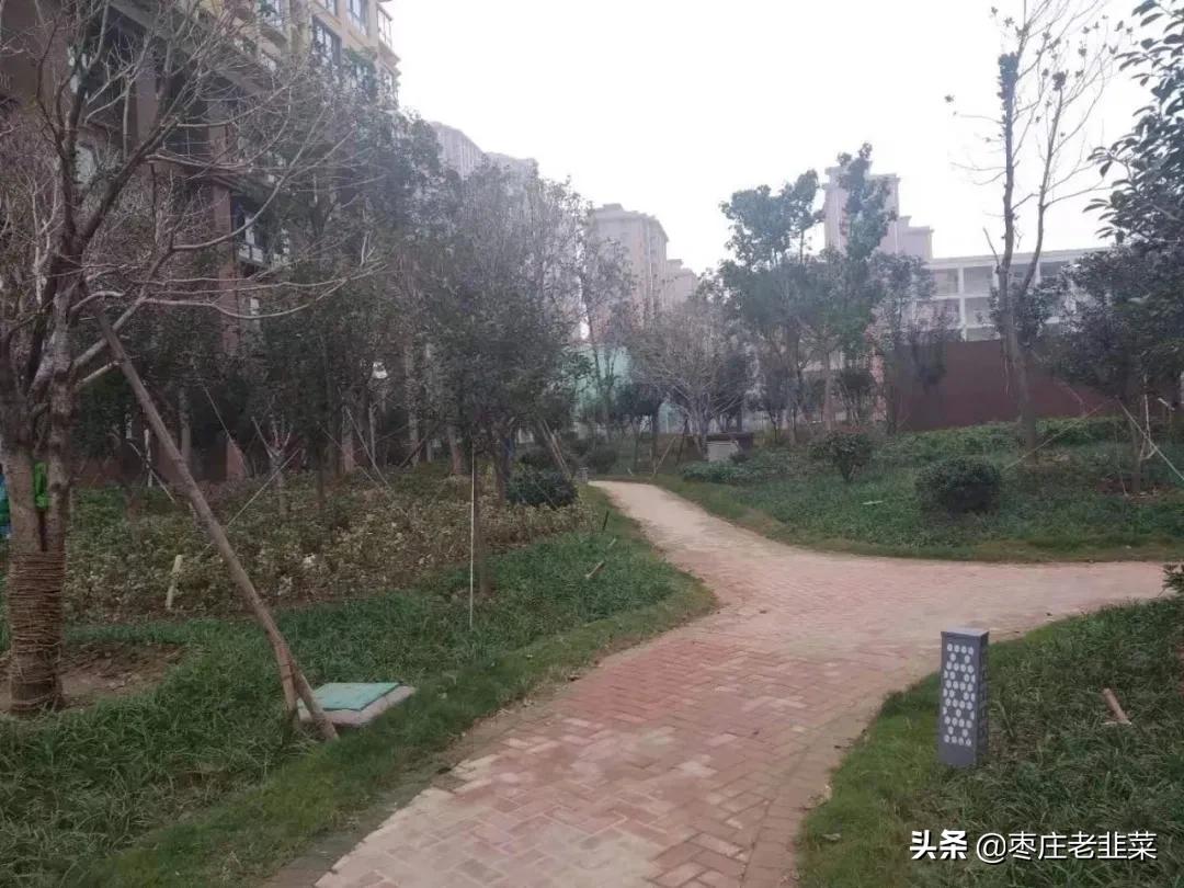 枣庄国企开发商,枣庄市国企开发商