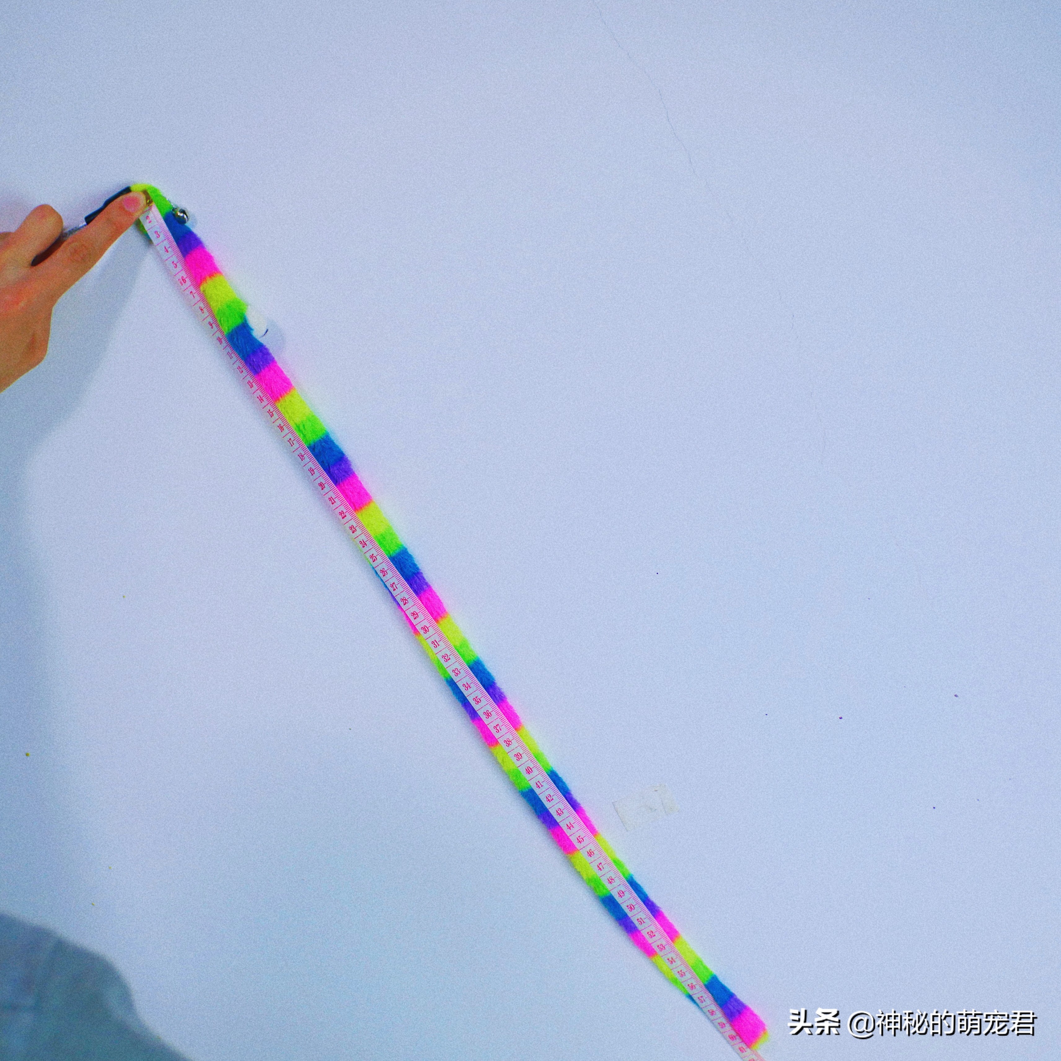 什么逗猫棒猫咪会玩,怎么做猫咪玩的逗猫棒