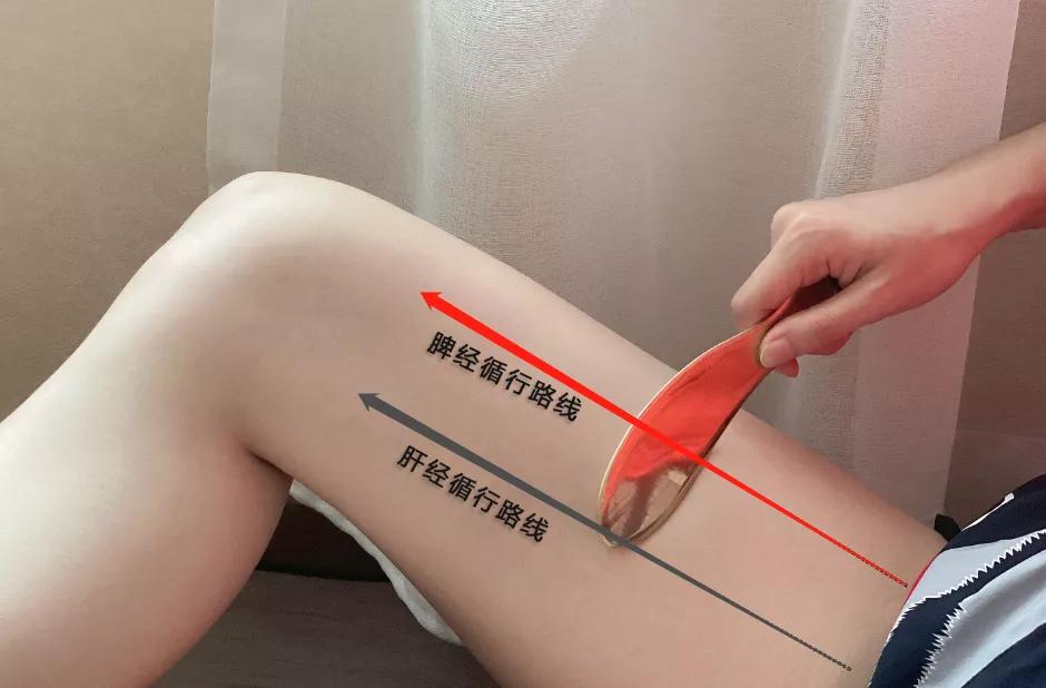 刮痧肝胆经心包经视频,刮痧大腿两侧的胆经