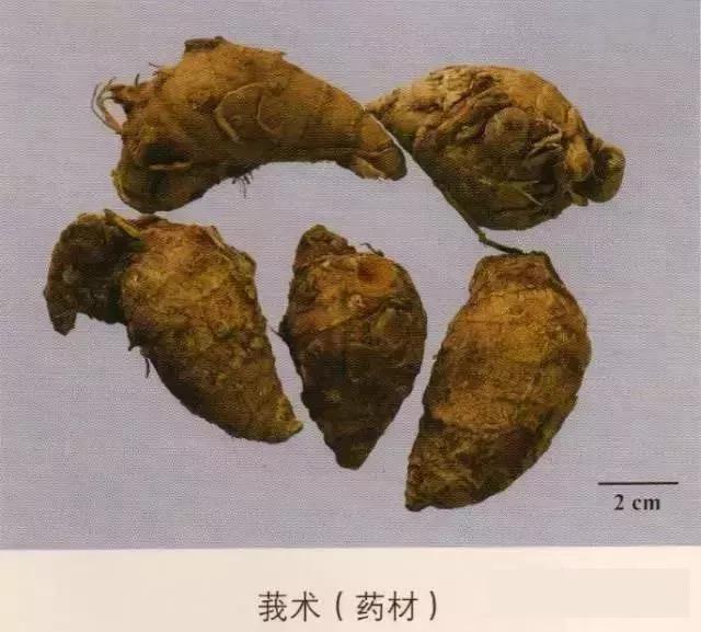 中药材图片大全大图带药名,200多味中药材图谱带图