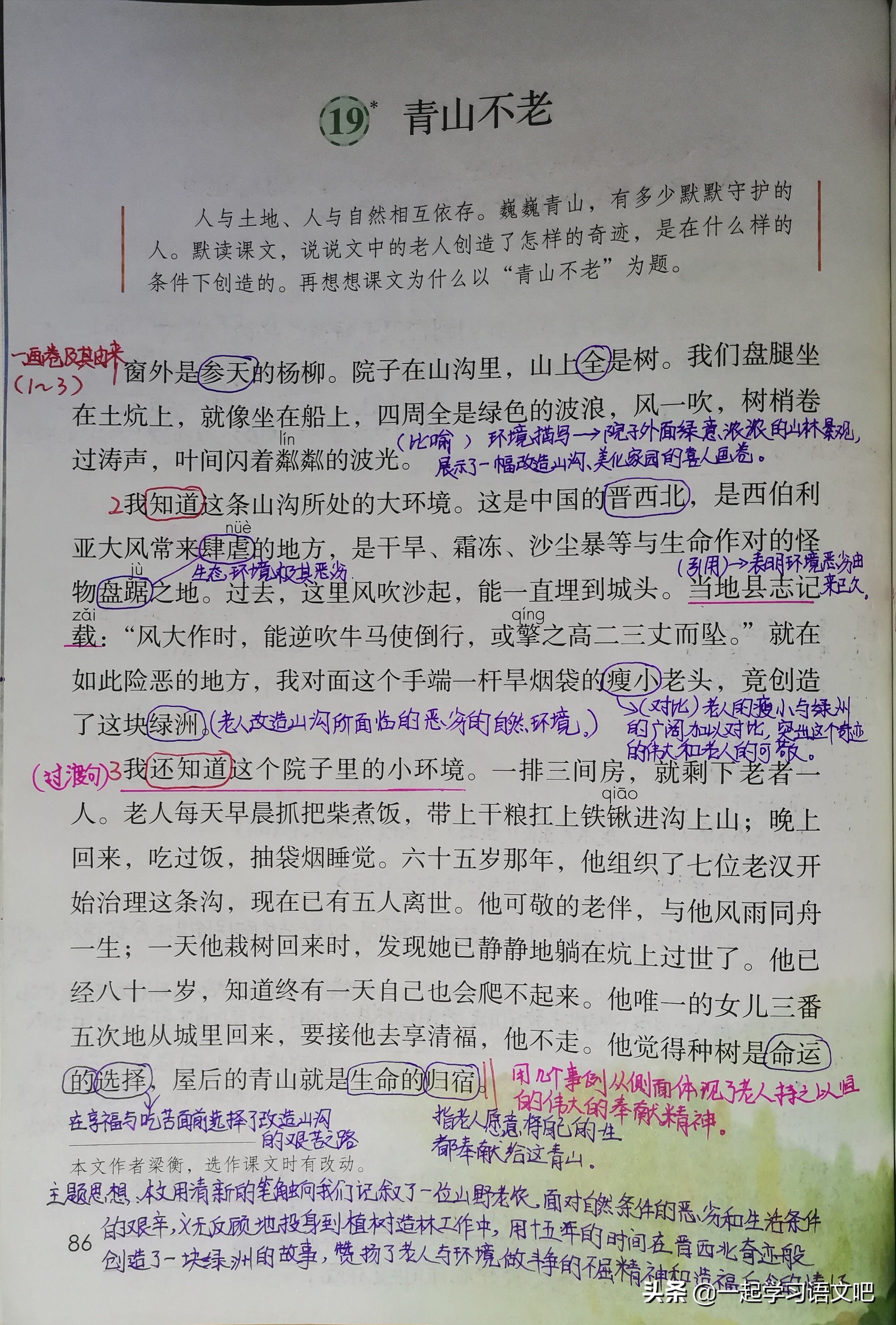 六年级第六单元古诗三首单元导读,六年级语文古诗三首重点句子