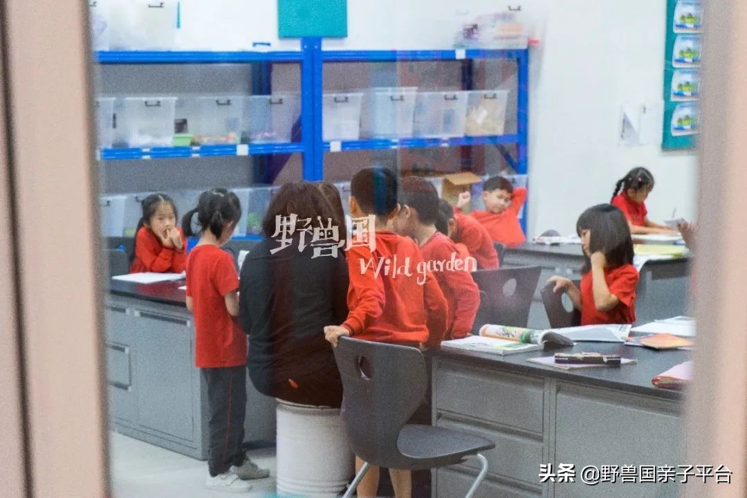 清澜山学校什么档次,入读清澜山学校需要什么条件