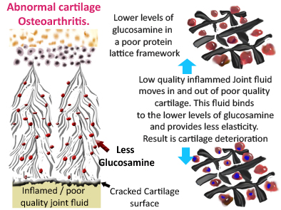 氨糖软骨素对骨关节好吗,关节炎吃氨糖和软骨素