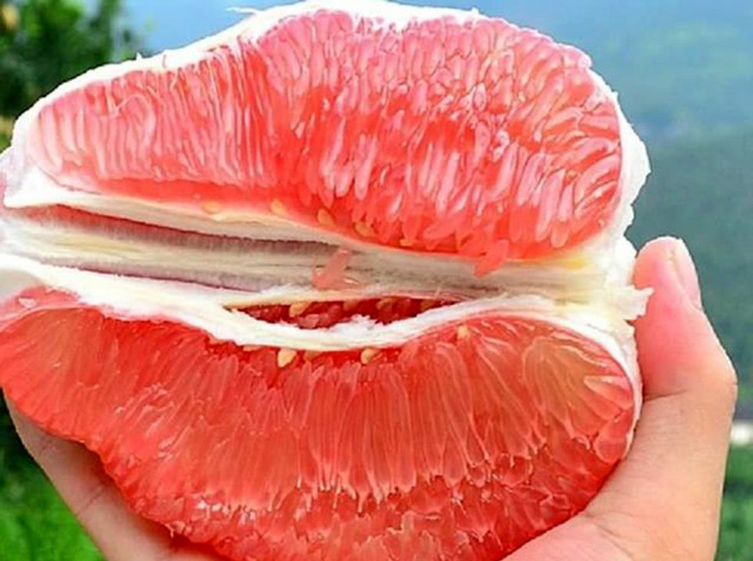 柚子上的白囊怎么剥,小朋友剥柚子正确方法