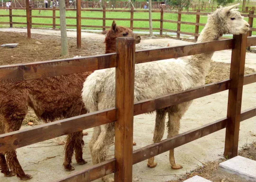 新区附近的旅游景点推荐,新区旅游攻略必去十大景点