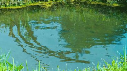 閮戝窞椋為笩瀹跺洯鍥剧墖澶у叏,閮戝窞椋為笩瀹跺洯椋庢櫙