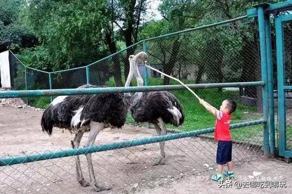 69.9抢惠州罗浮山漂流门票89元抢漂流门票+空中田园