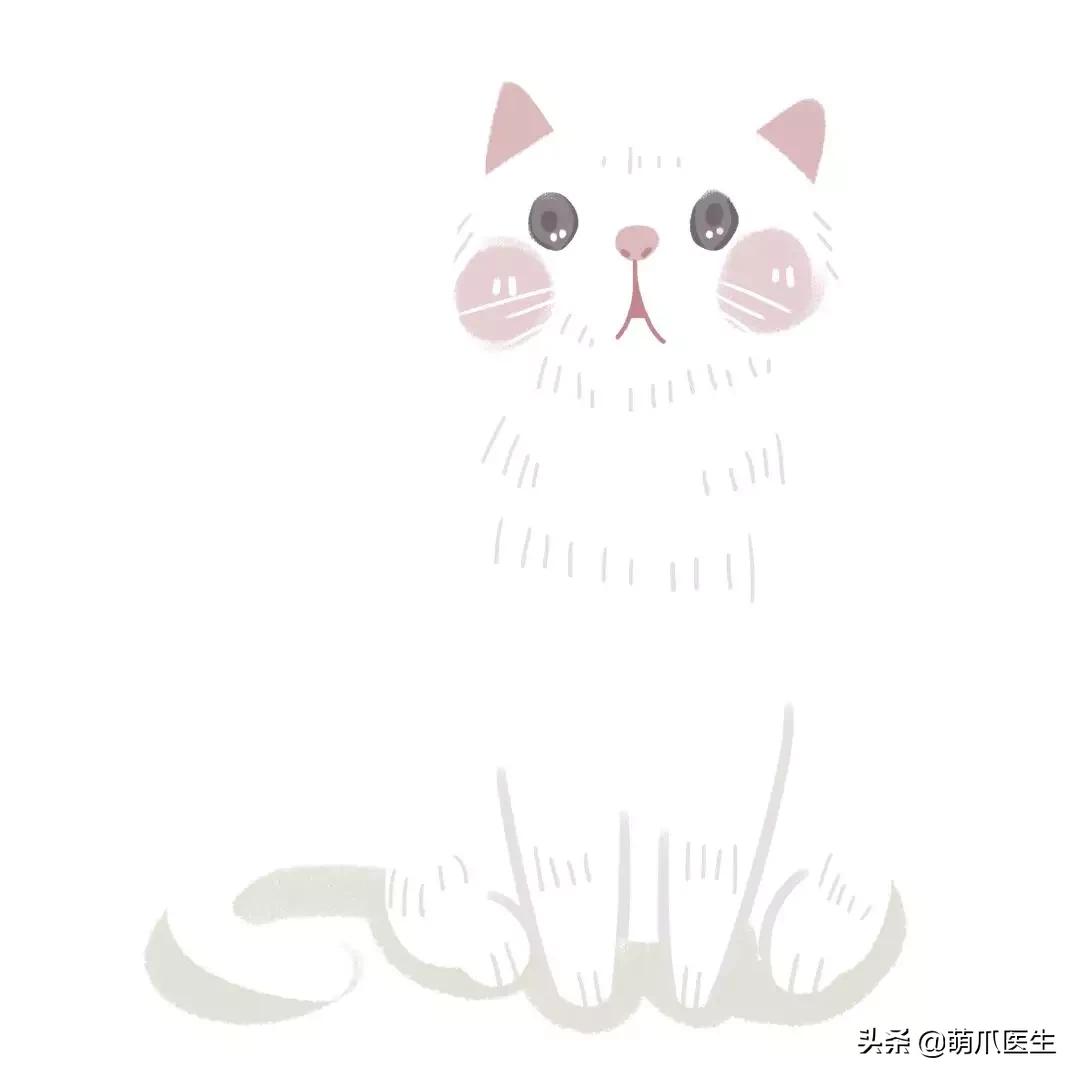 “你根本不爱猫，你就是馋它的身子！”