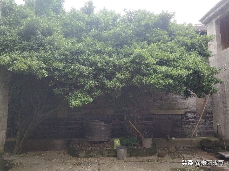 贵阳北衙村*迁拆**，红色史迹高公馆能否留存？