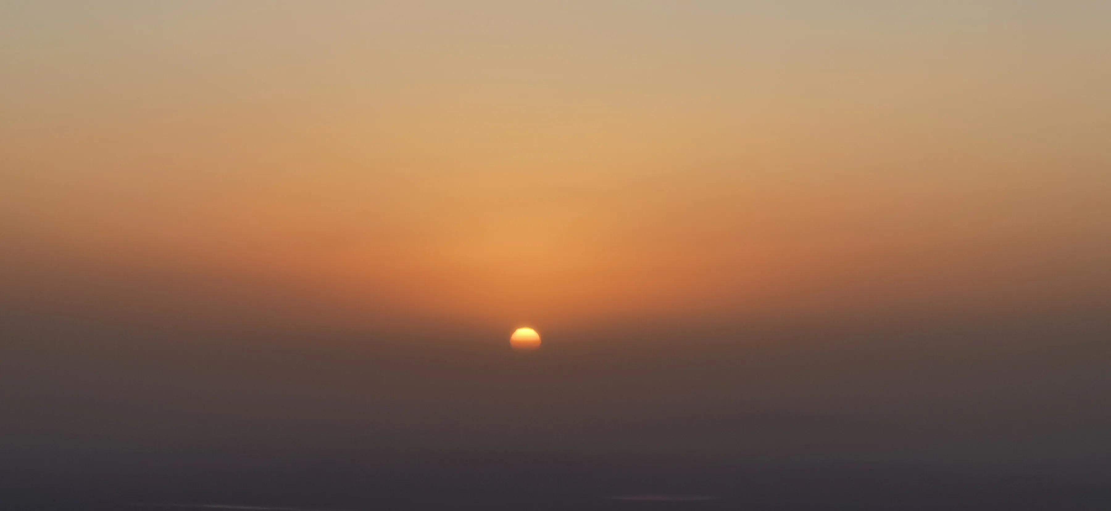 朝花夕拾对狗猫鼠的看法,朝花夕拾中狗猫鼠的温馨回忆