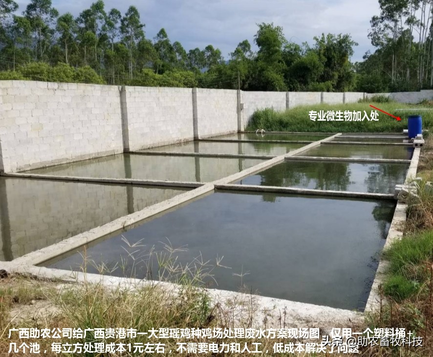 鸡粪有机肥废水处理,鸡粪怎么处理可以达到环保标准