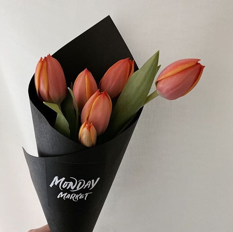 閮侀噾棣欑鐞冪殑鍏绘姢鏂规硶,姘村煿閮侀噾棣欏彂鑺藉悗鍏绘姢