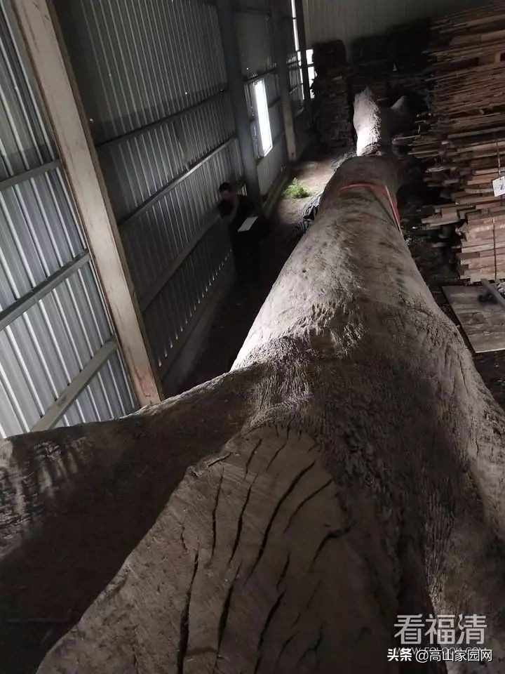 福清老板拥有的一根木头，能值600万？