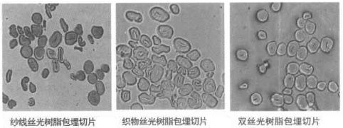 丝光棉和普通棉的区别,真丝棉和丝光棉哪个好