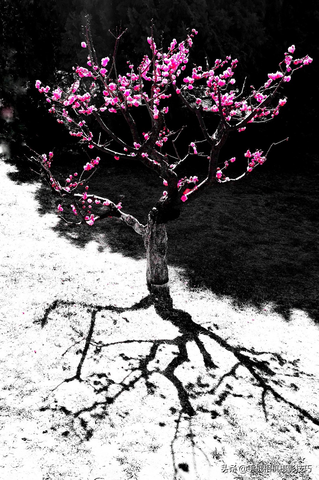 手机拍的照片不清晰怎么能变清晰,手机拍的照片不清晰怎么处理