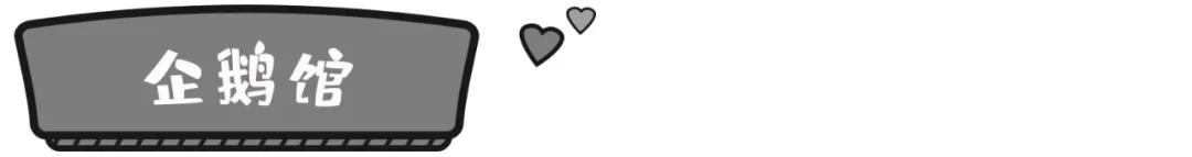 一天珠海长隆最全游玩攻略,最新的珠海长隆游玩攻略