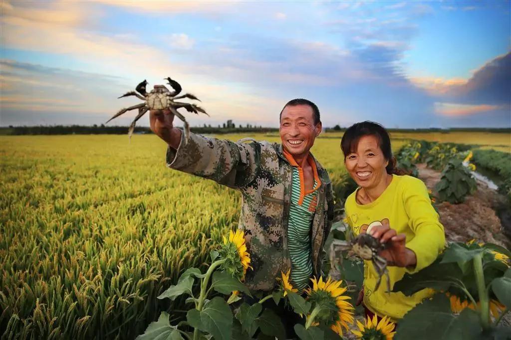 盘锦情书完整版,盘锦情书最新版