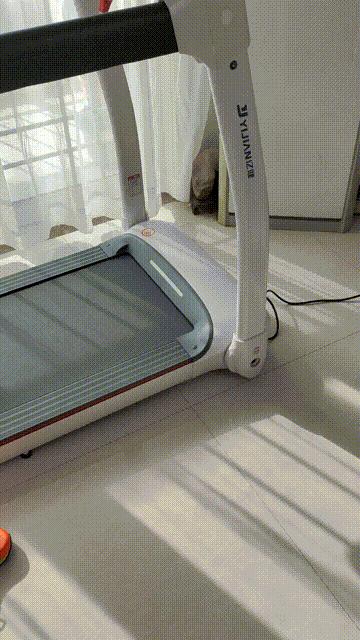 在家也能好好健身,宅在家也能健身