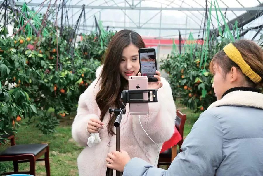 村播计划,阿里村播计划怎么设置