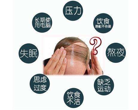 还是不知道自己为什么会脱发吗？