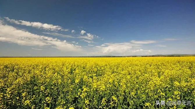 回归的日子伊犁之骑行