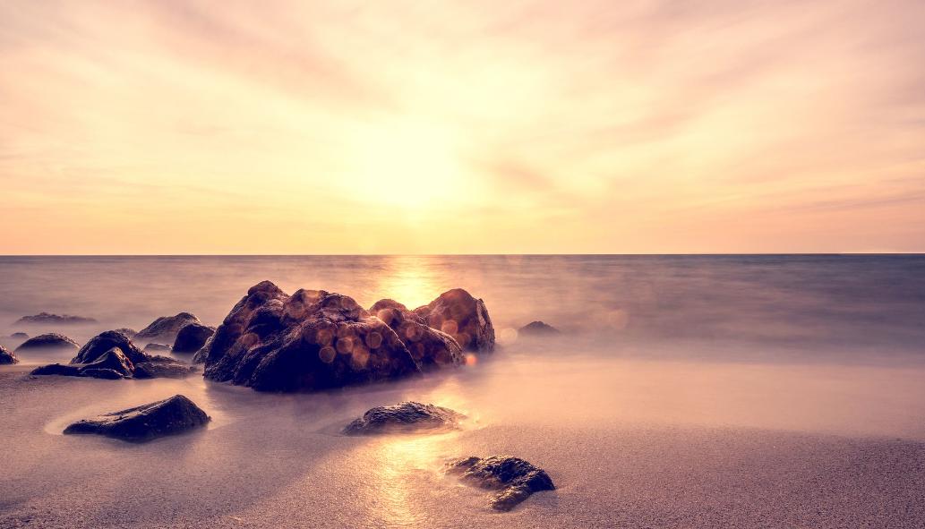 观察鹦鹉的作文300字,观察虎皮鹦鹉作文