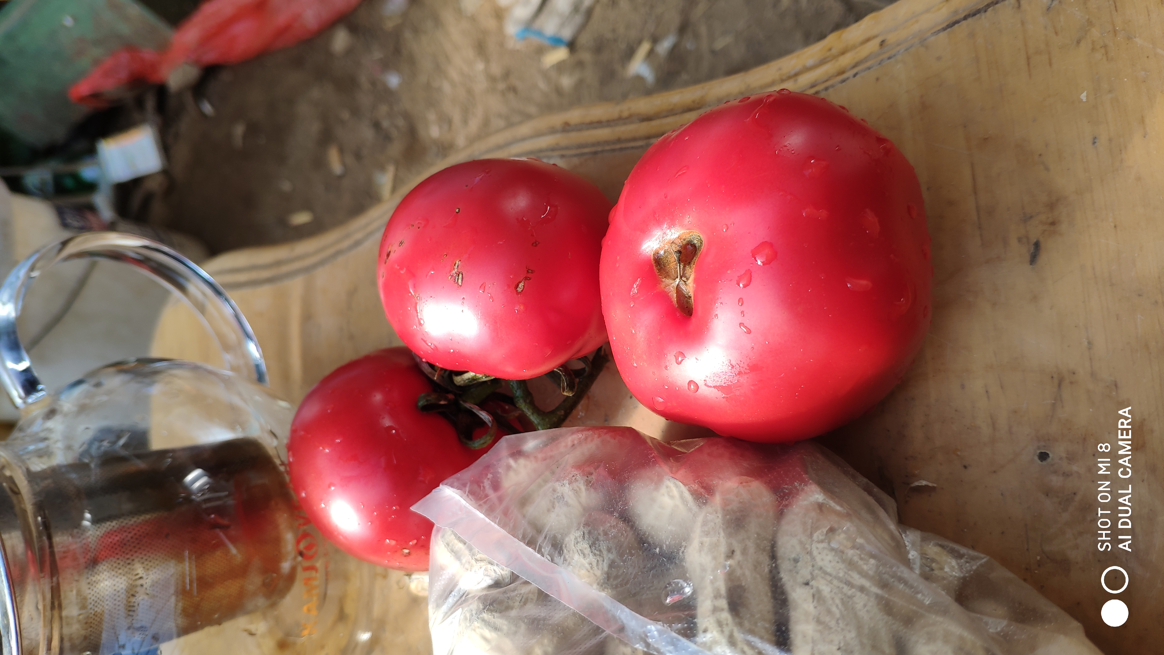 崂山水畔菜蔬鲜，黄石洞中书韵长