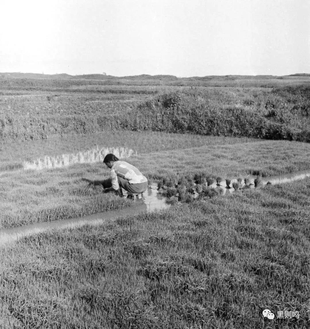 1934年的南京城,1944年南京视频