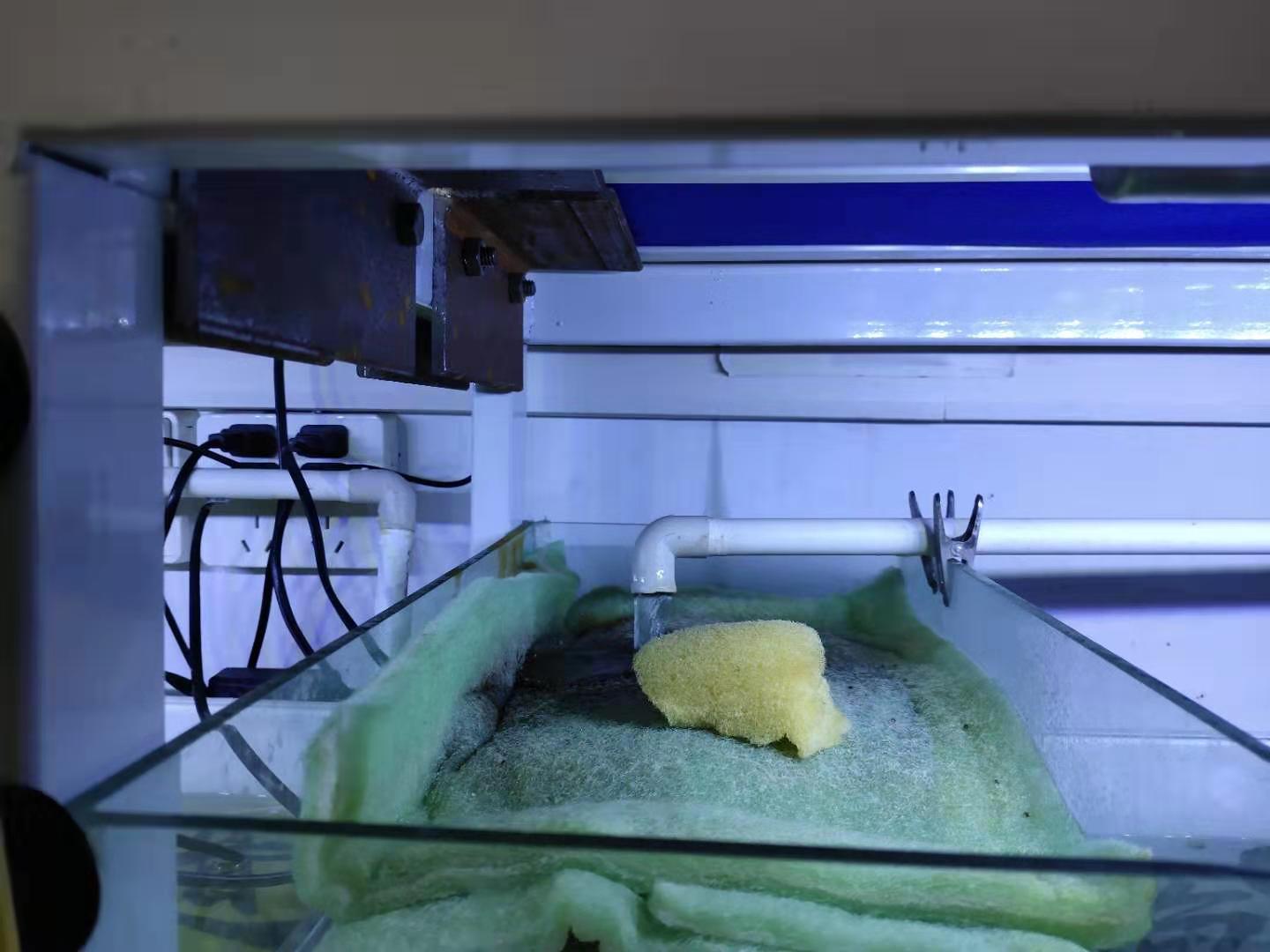 10年鱼缸漏水有必要维修吗,鱼缸烟丝补漏法