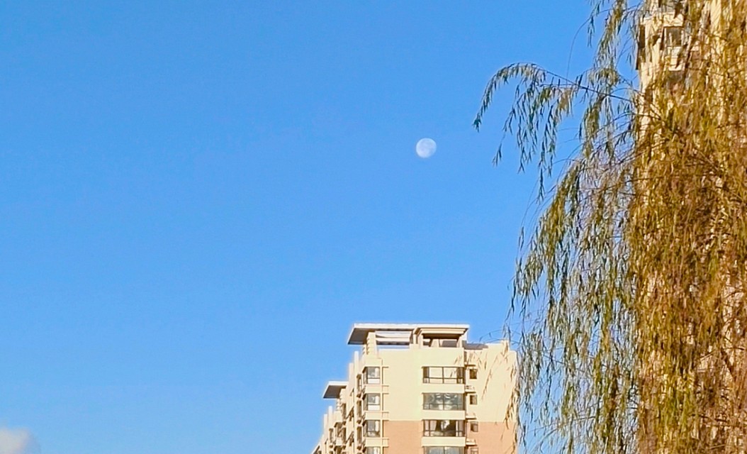 网络赚外快兼职,哪些兼职或自由职业可以月入过万