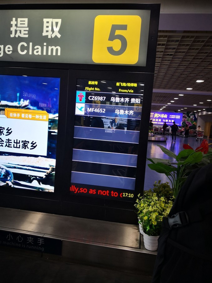 三亚新年自由行,一个人的旅行三亚之旅