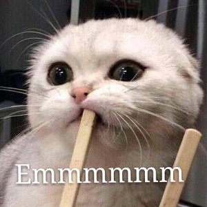 猫咪被蜜蜂蛰搞笑,猫咪嘴巴被蜜蜂蛰了怎么处理