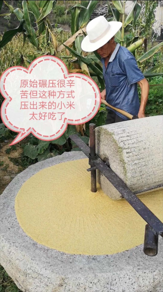 雾灵山内住宿推荐,雾灵山在山上住宿最佳方案