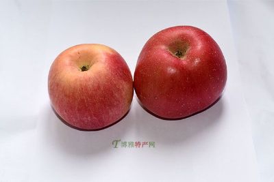 日照五莲国光苹果,五莲县最好的苹果