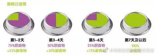 狗狗拉软便有血怎么回事,狗狗一直软便会有什么影响