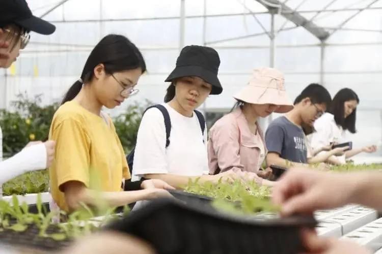 报考华南农业大学,华农报录比