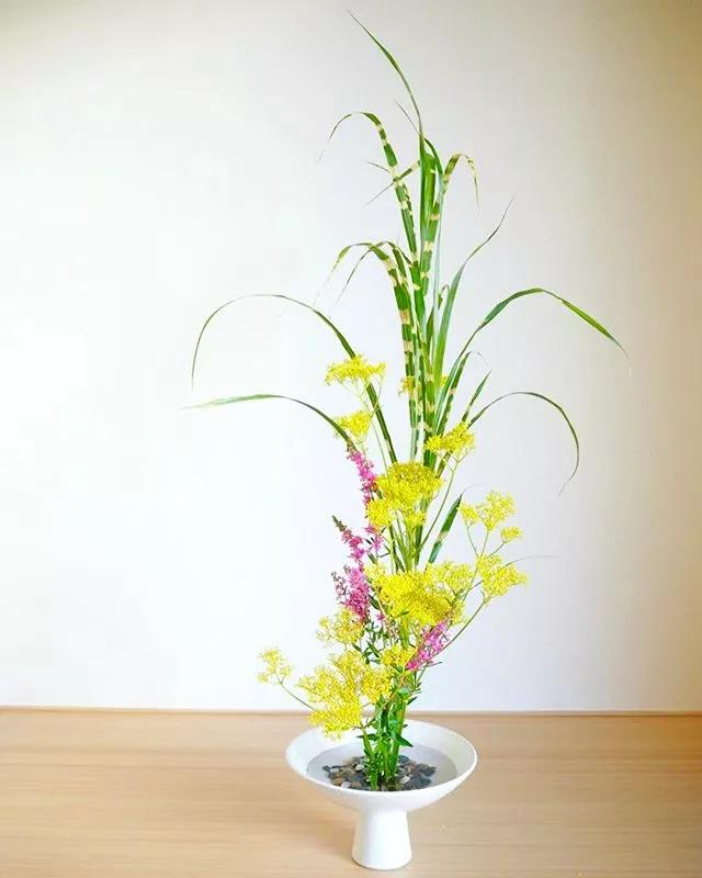 一花一世界一叶一菩提本来无一物,一花一世界一叶一菩提一场梦