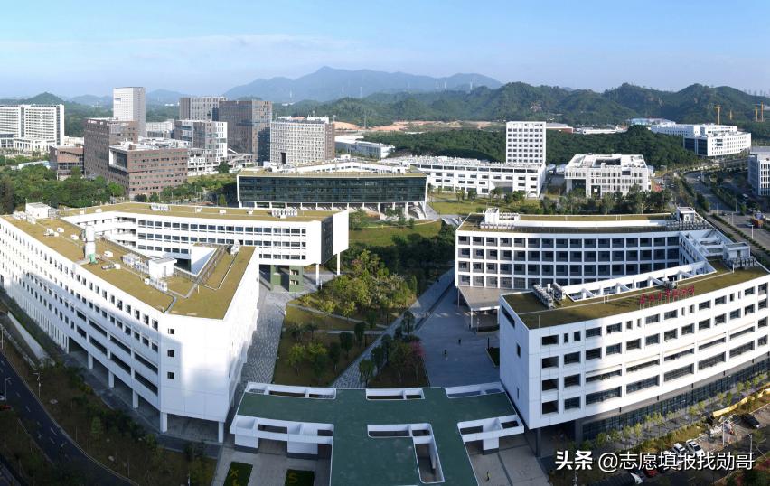 最好的大专深圳大学,深圳大学重点专科
