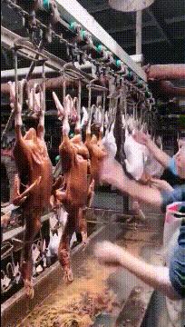 搞笑gif图妹子你太逗了,搞笑gif妹子你的衣服太前卫了