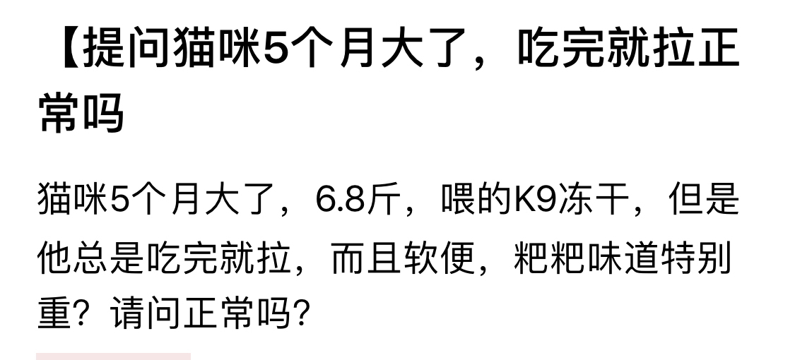 辟谣别再相信猫咪养不熟,辟谣猫咪并非黑夜都能看得清