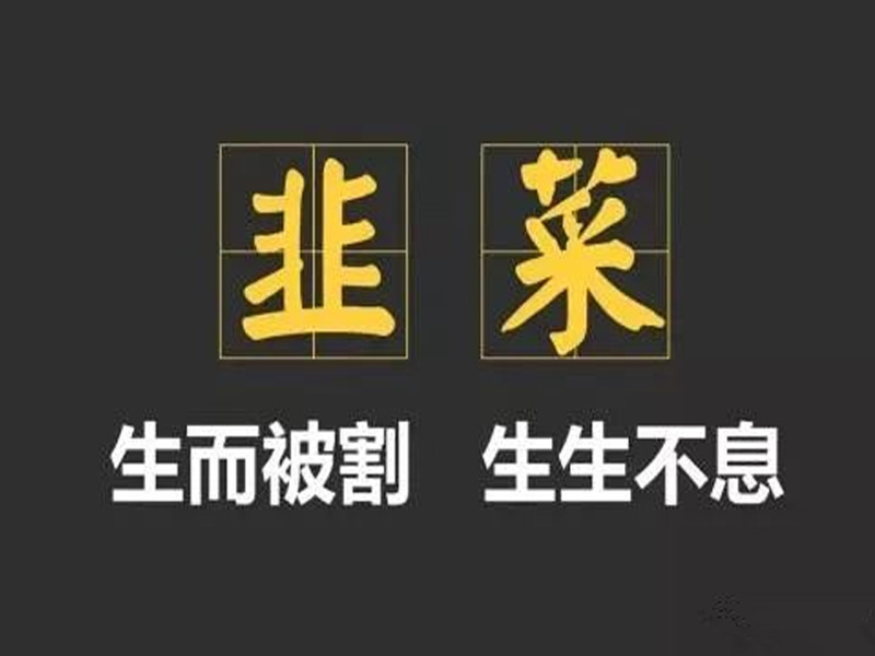 追涨杀跌坚决不当韭菜,韭菜战法图解