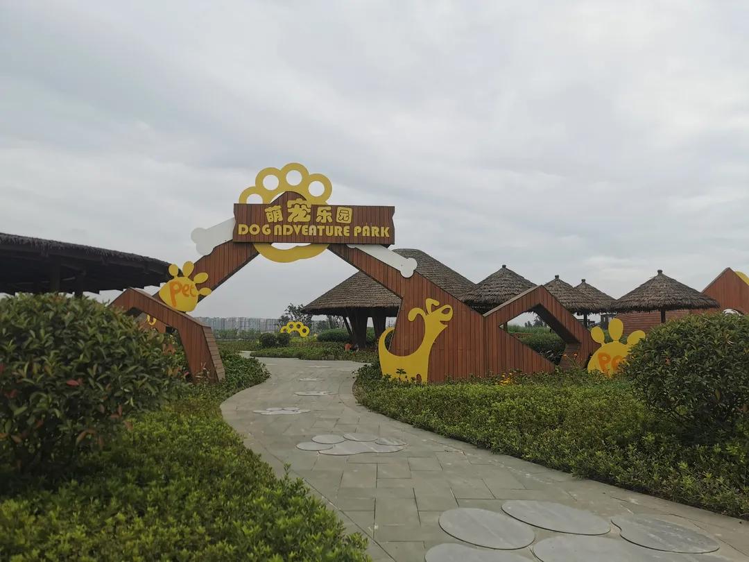 踏青打卡好去处双流空港公园,成都双流的三大新的生态公园