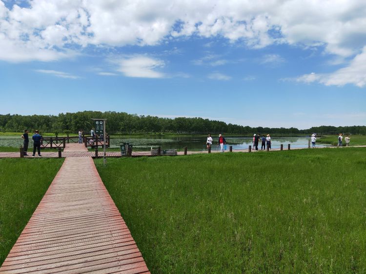 美丽的高岭塞罕坝,美丽的高岭朗诵