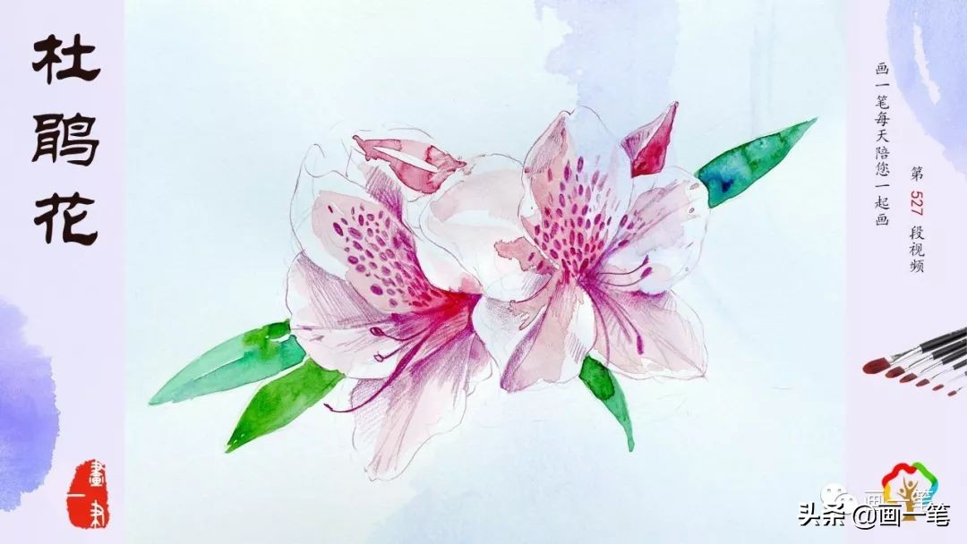 水彩画蝴蝶简单好看的作品,水彩画美丽的蝴蝶