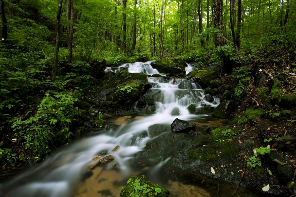 王昌龄边塞诗十首经典,黄沙百战穿金甲全诗赏析