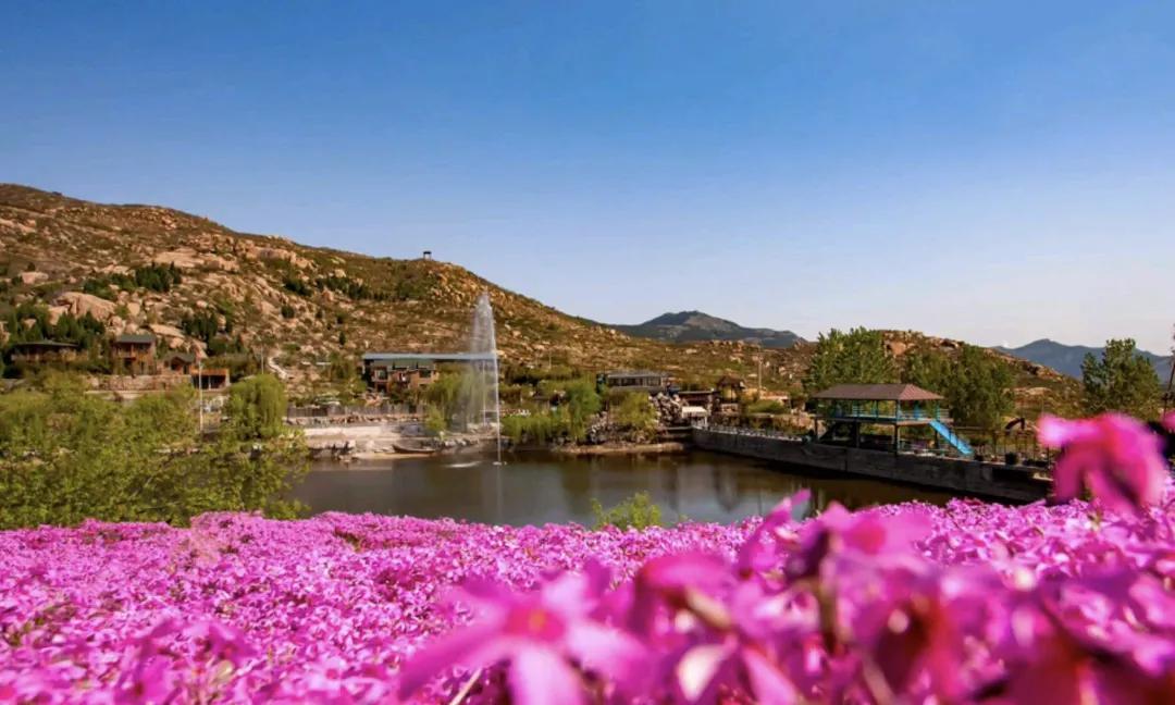 距离济南市区车程1.5小时，居然还藏着这么个游玩胜地，风光绝美令人羡艳，值得去打卡！