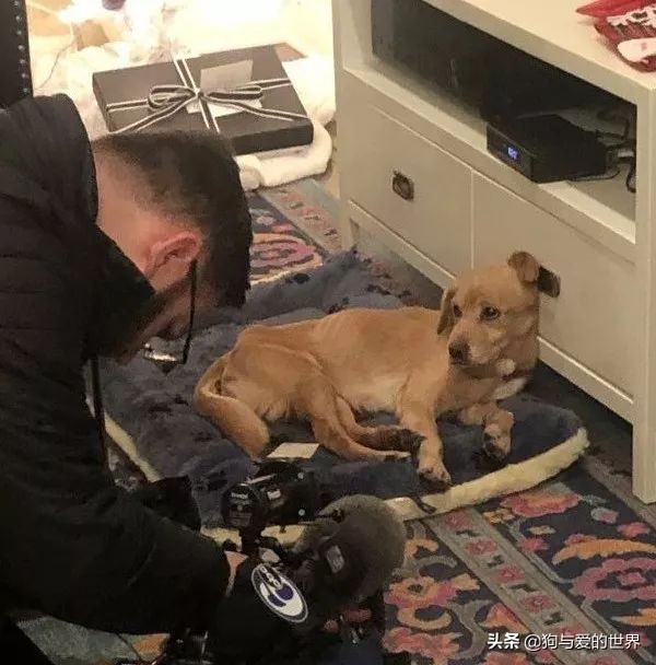 鏅氫笂瀹堕噷杩涗簡涓嶆槑鐢熺墿,鐢峰瓙鍗婂鍥炲閬囦笂涓嶆槑鐢熺墿